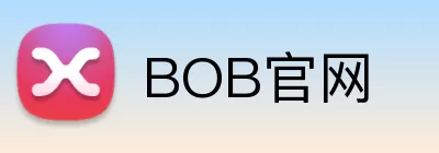 BOB官网 Logo